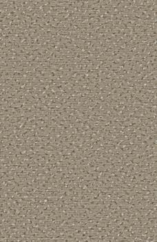 Preview: Rechteckbild vom Alexis